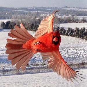 Meet your Posher, Sheila